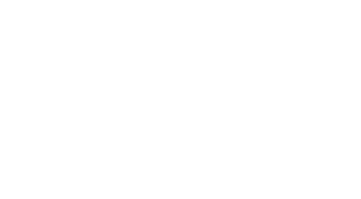 Logo Groupe IVT Security Blanc